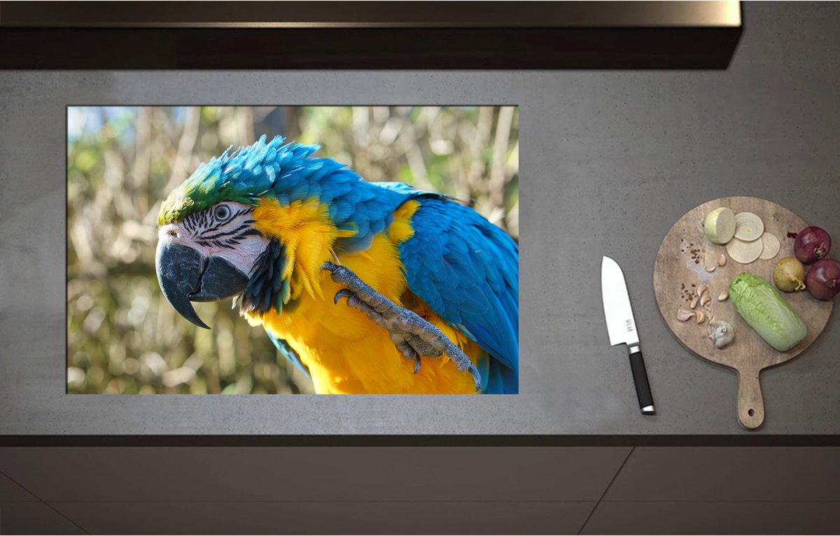 Inductieplaat Beschermer - Blauw met Gele Ara Papegaai Opzijkijkend - 80x52 cm - 2 mm Dik - Inductie Beschermer - Bescherming Inductiekookplaat - Kookplaat Beschermer van Zwart Vinyl