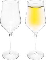 Set van 2x grote wijnglazen voor rode wijn Rhone 740 ml van glas - Wijn glazen