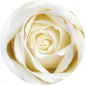 Witte rozen versiering onderzetters/bierviltjes - 10x stuks - Witte rozen bloemen feestartikelen