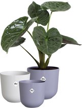 Elho Jazz Rond - Bloempotten voor Binnen - 100% Gerecycled Plastic - Set van 3 - Ø 14, 16, 19 cm - Multicolour
