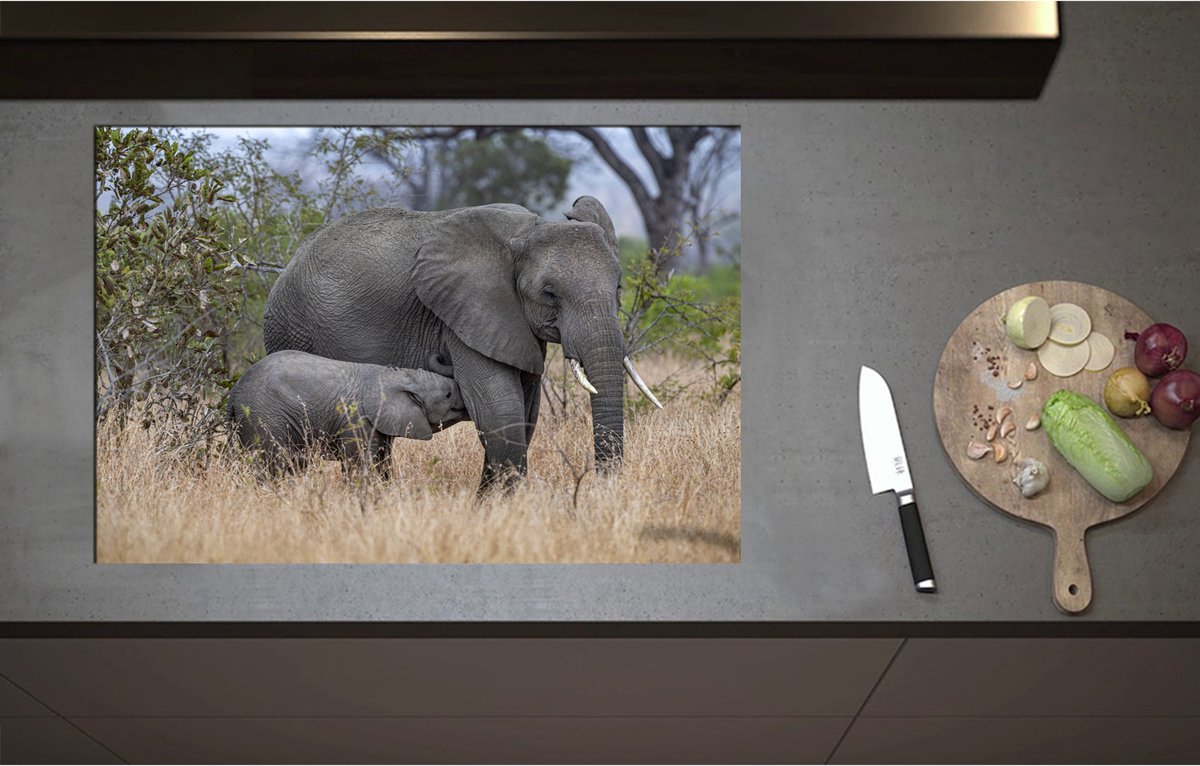 Inductieplaat Beschermer - Babyolifant drinkend bij Moederolifant tussen Hoge Droge Grassen - 80x55 cm - 2 mm Dik - Inductie Beschermer - Bescherming Inductiekookplaat - Kookplaat Beschermer van Wit Vinyl