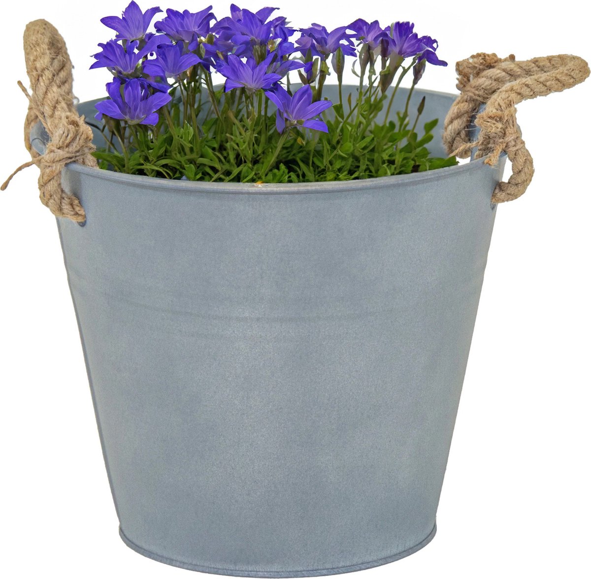 Goedkoopste Mega Collections Emmer/plantenpot/bloempot Old Rope - zink - zilver - D25 X H22 cm