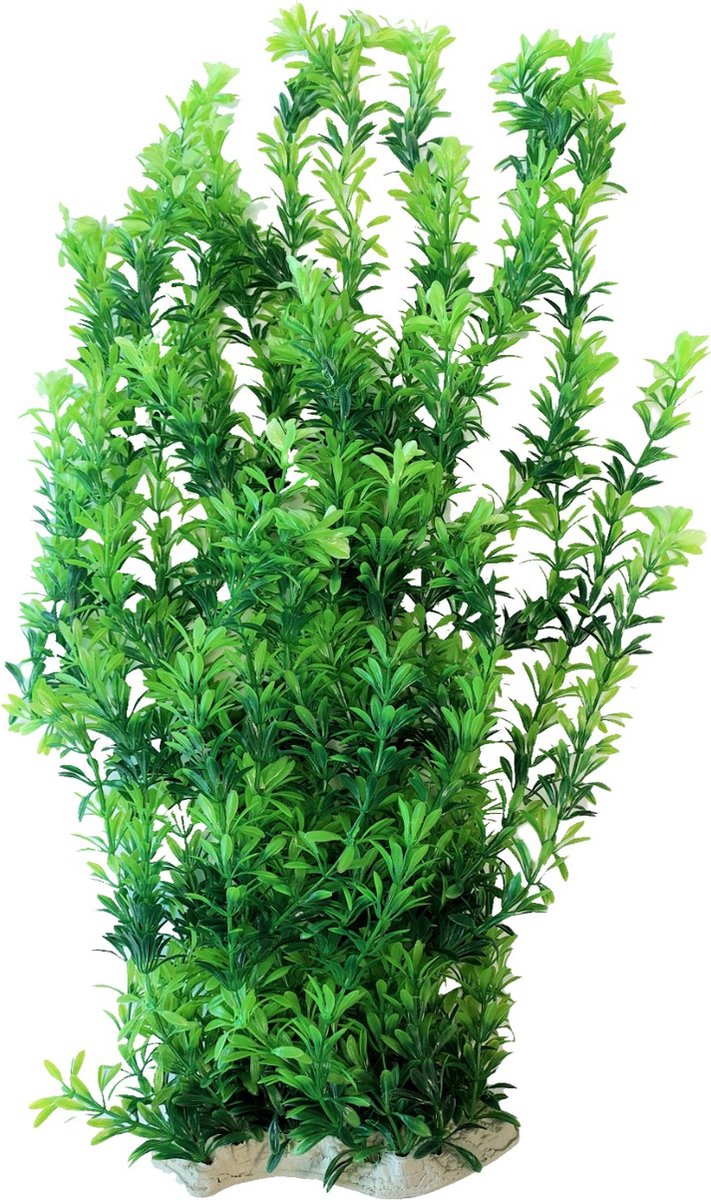 Nobleza Kunstplant Aquarium - 65 cm - Groene Aquariumplant - Kunststof - Aquariumdecoratie