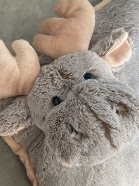 Knuffelkussen Voor Het Lichaa Valentijn Kussen Hond Pillow Buddies