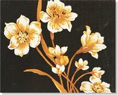 Cards & Crafts Bloemen Schilderen Op Nummer met Frame 40x50cm - Painting by Numer - DIY schilder pakket