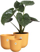 Elho Jazz Rond - Bloempotten voor Binnen - 100% Gerecycled Plastic - Set van 3 - Ø 14, 16, 19 cm - Amber geel