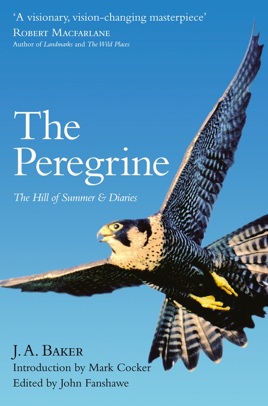 Un faucon pèlerin vole ailes déployées sur un ciel bleu clair. Le titre "The Peregrine" est inscrit en grandes lettres blanches sur la couverture.