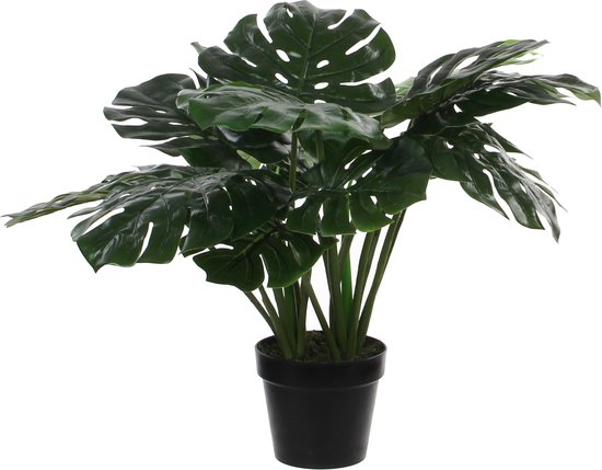 Mica Decorations Monstera Kunstplant - H60 x Ø80 cm - Groen