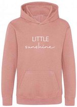 Be Friends Hoodie - Little sunshine - Kinderen - Roos - Maat 1-2 jaar