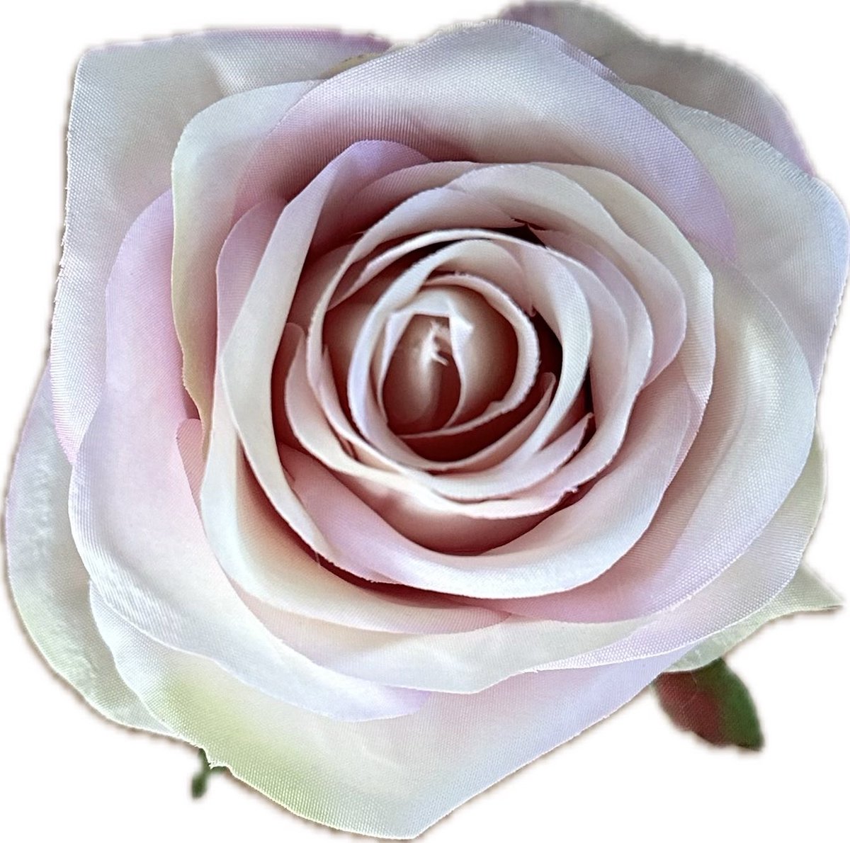 AMALIA POEDER LILA KUNSTROZEN - Rozenkoppen 12 stuks - Mooie Kwaliteit Kunstbloemen - Nepbloemen - Rozen zonder Steltjes - Kunstbloemen voor Decoraties/ Versieringen - DIY Bloemen - Rozen voor de Bloemenmuur