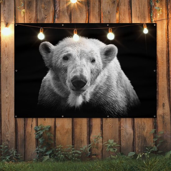 Décoration murale Ours polaire - Animal - Zwart - Wit - 180x120 cm - Poster jardin - Toile jardin