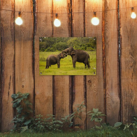 Décoration de jardin Deux éléphants combattants - 60x40 cm - Poster jardin - Toile jardin - Poster extérieur