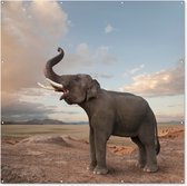 Tuin poster Trompetterende olifant in de woestijn - 200x200 cm - Tuindoek - Buitenposter