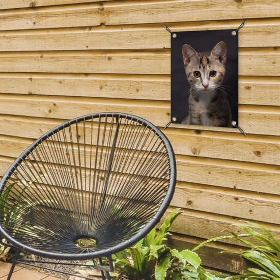 Tuinposter 30x40 cm - Tuindecoratie Kat - Zwart - Portret - Poster voor in de tuin - Buiten decoratie - Schutting tuinschilderij - Tuindoek muurdecoratie - Wanddecoratie balkondoek