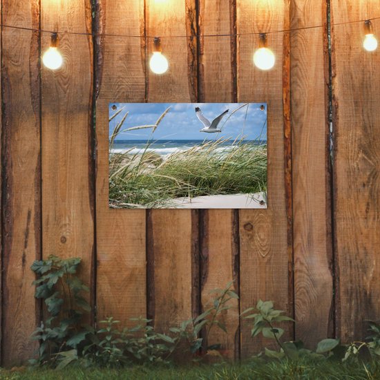 Décoration de jardin Plage - Vogel - Plantes - 60x40 cm - Poster jardin - Toile jardin - Poster extérieur