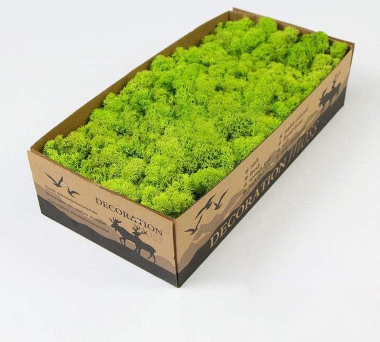 Geconserveerd rendier mos doe-het-zelf kit terraria tuinieren kunst muur decor bloemist decor (04 kg) (groen-01)