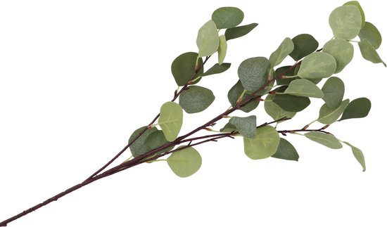 DK Design Kunstbloem Eucalyptus tak Real Touch - 90 cm - groen - losse steel - Kunst zijdebloemen