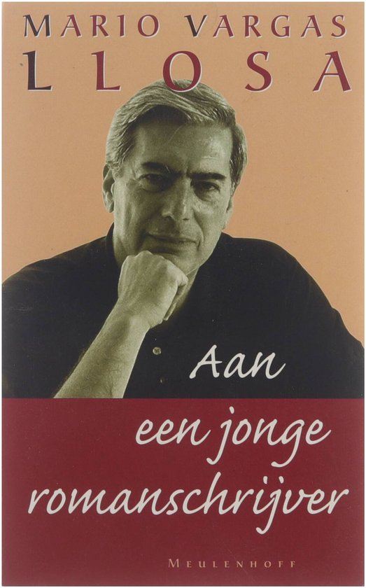 9789029058704 - Brieven Aan Een Jonge Romanschrijver