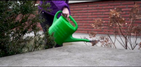 Kamerplanten cadeau – hart onder de riem – met watergeefsysteem - BloomsBox