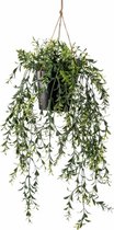 Emerald kunstplant/hangplant - Buxus - groen - 50 cm lang - Levensechte kunstplanten