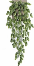 Emerald kunstplant/hangplant - Hop - groen - 70 cm lang - Levensechte kunstplanten