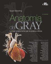 Anatomia del Gray 42 ed.