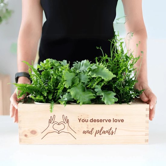 Kamerplanten cadeau – hart onder de riem – met watergeefsysteem - BloomsBox