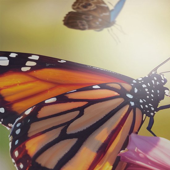 Prachtige Tuinposter bloemen 120x80 cm met vlinders en zonsondergang op een mooie zomerdag; Tuinschilderij, Schuttingposter, Schuttingdoek, Schutting decoratie, Tuindecoratie - tuinposter vlinder - tuinposters bloemen - tuinposter natuur - Kontoer design ®