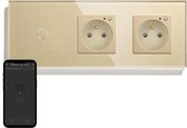 SmartinHuis - 1x1 polig met tweevoudig stopcontact (energiemonitoring) - Penaarde - Goud