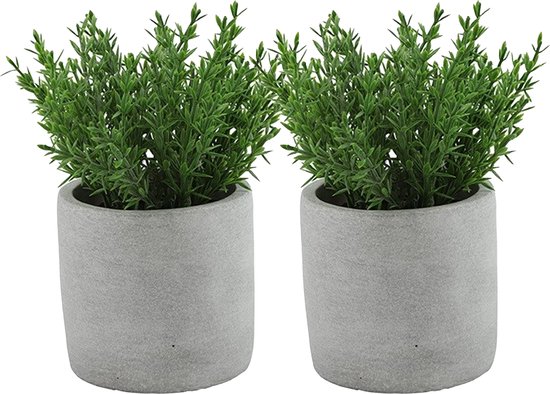 Countryfield Plante/herbes artificielles thym - 2x - Countryfield - dans un pot en ciment gris - 19 cm - herbes