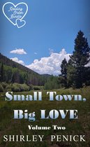 Reading Order Bundle 2 - Small Town, Big Love