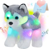 Led Licht Muziek Puppy / 32Cm Pop Pluche / Speelgoed / Zacht Schattige husky hond / Katoen Knuffel / cadeau Voor Meisjes Speelgoed