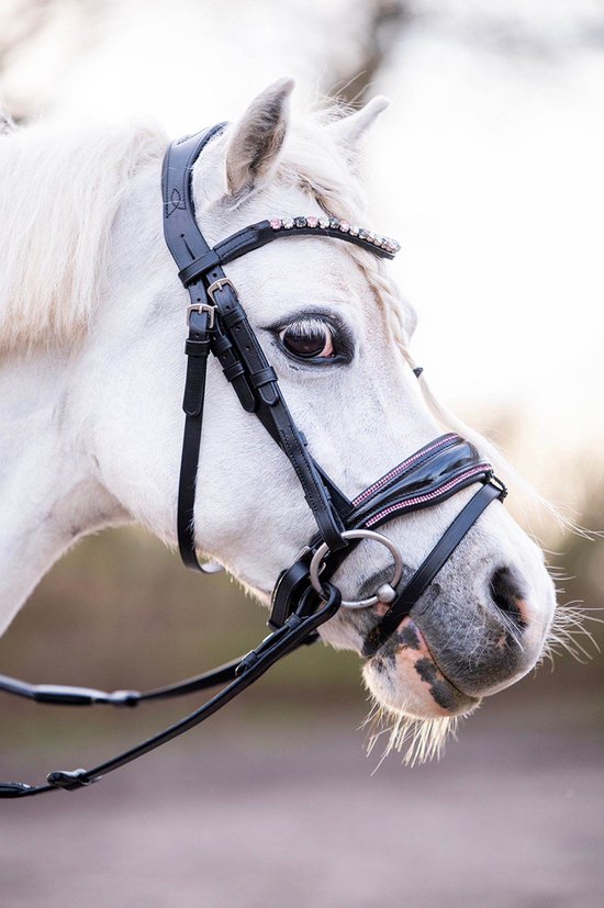 HB Bridon Showtime Special A-poney - taille Poney - noir/rose