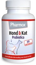 Pharmox Hond & Kat Probiotica | Ondersteunt Darmflora & Spijsvertering | 100% Natuurlijk | Hondensupplementen | 60 capsules