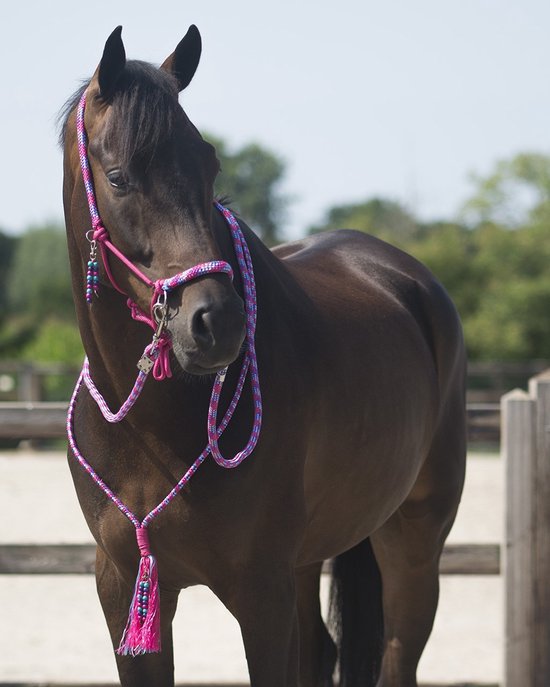 QHP - Touwhalster & Neckrope Liberty - Fuchsia - Pony QHP - Touwhalster & Neckrope Liberty - Fuchsia - Pony