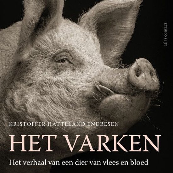 Het varken - cover