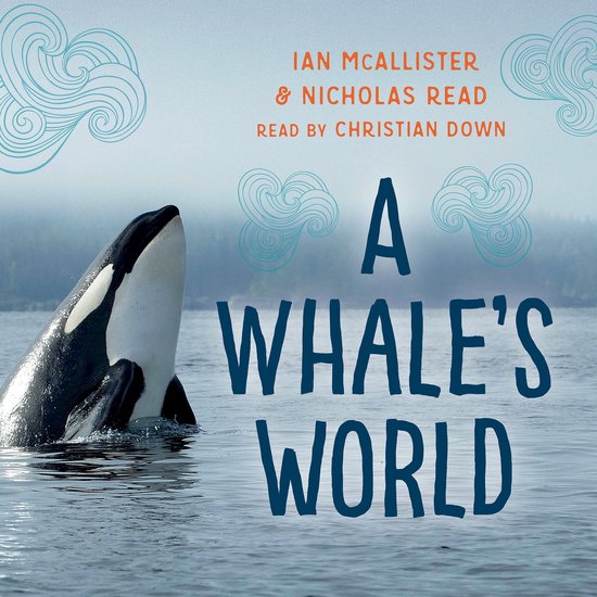My Great Bear Rainforest-A Whale's World - cover