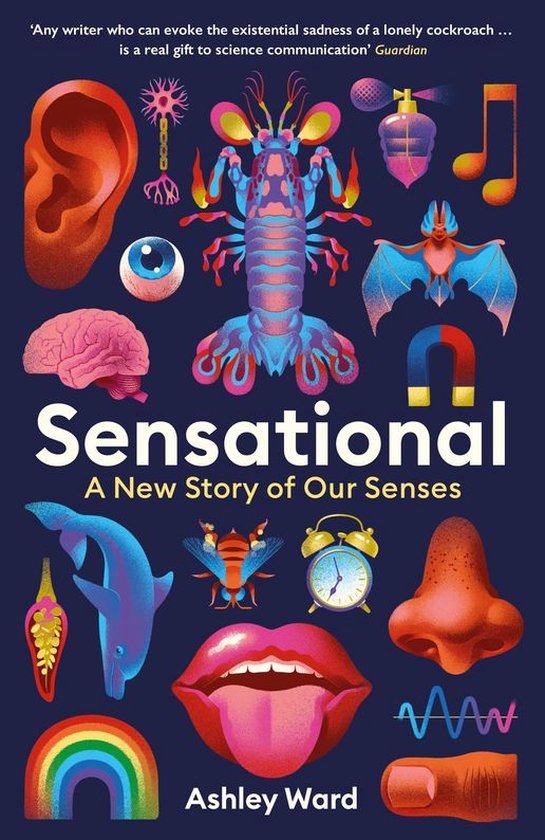 Sensational - cover