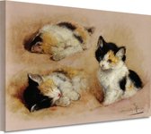 Studies van ontwakend katje - Henriëtte Ronner schilderijen - Katten schilderijen - Canvas schilderijen Oude meesters - Landelijke schilderijen - Schilderij op canvas - Wanddecoratie woonkamer 60x40 cm