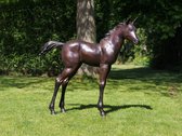 Tuinbeeld - brons - Veulen - Bronzen beeld - 115 cm hoog - bronzartes