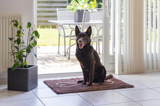 Bruine hond op een bruine deurmat met een witte pootafdruk.