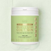 Plent Beauty Care - Beauty Blend Viscollageen - Kiwi Lime - 40 doseringen - Met 12 actieve ingrediënten ter ondersteuning van huid, haar, nagels en botten