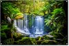 Jungle - Waterval