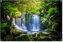 Waterval in een dichtbegroeid bos met varens en mos, op rotsen.