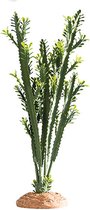 Hobby Terrano Euphorbia Maat L