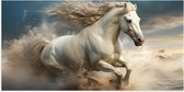 Poster Glanzend – Paard - Dier - Wit - Rennen - 100x50 cm Foto op Posterpapier met Glanzende Afwerking