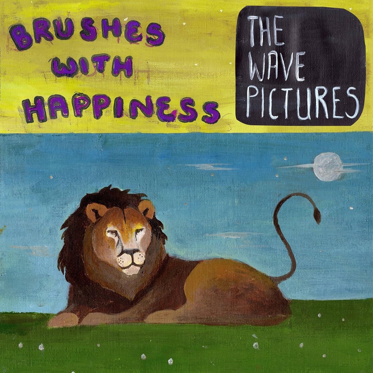 Wave Pictures - Brushes With Happiness (LP) (Coloured Vinyl) (Limited Edition)