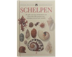 Omslag van Schelpen