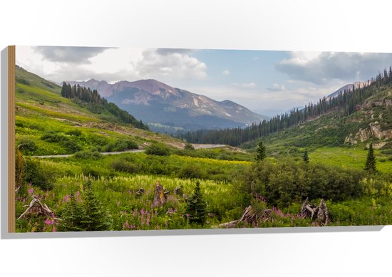 Hout - Landschap - Bergen - Bomen - Struiken - Gras - Bloemen - Kleuren - 100x50 cm - 9 mm dik - Foto op Hout (Met Ophangsysteem)