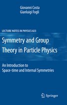 Symmetries And Group Theory In Particle Physics